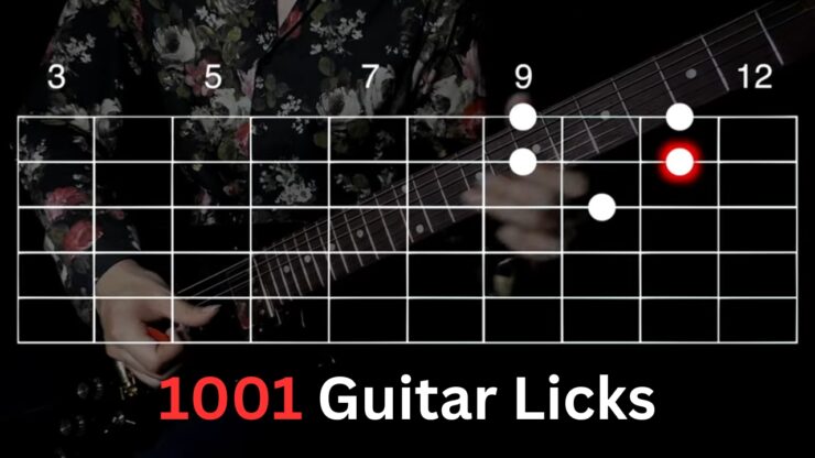 1001 Guitar Licks